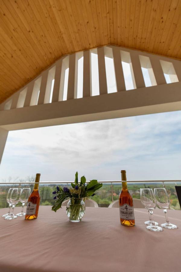 Aszuvilag Rezidencia With Sauna & Jacuzzi Legyesbenye 外观 照片